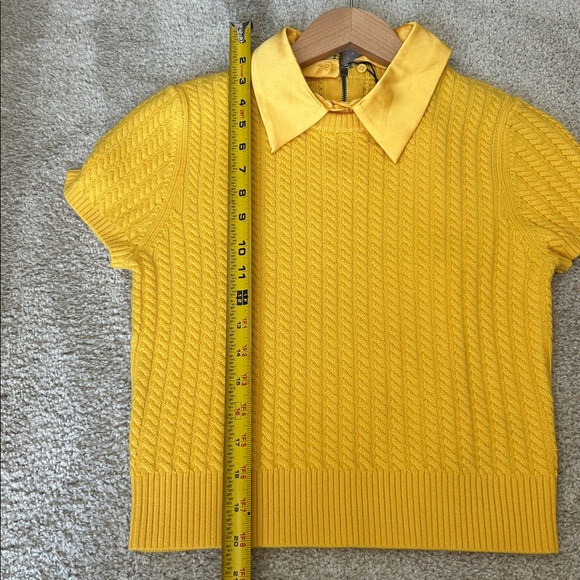 Alice and Olivia Abbott with collar - Picture 10 of 15